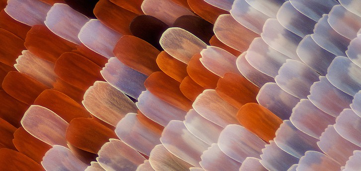 A closer look on materials